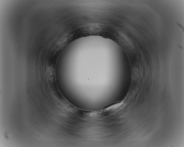 X0000098140184200804241723
