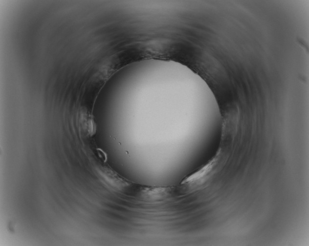X0000098140186200804241723