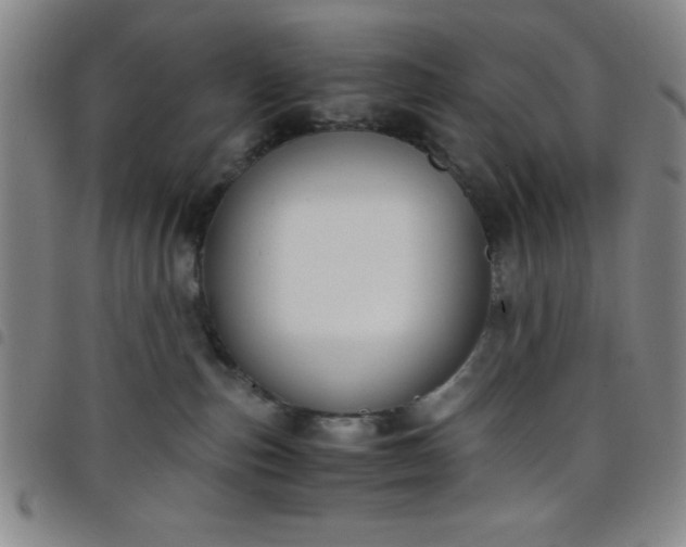 X0000098140187200804241723