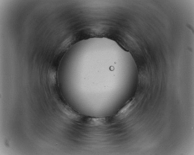 X0000098140188200804241723