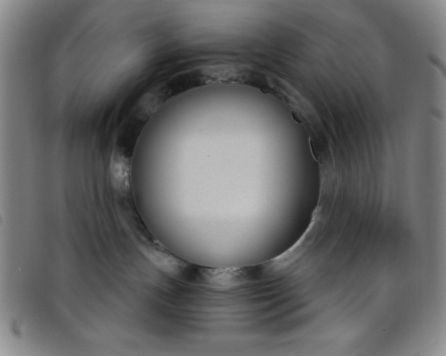 X0000098140191200804241723