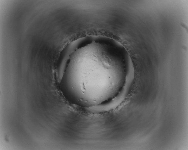 X0000098140192200804241723