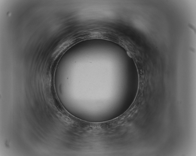X0000098140194200804241722