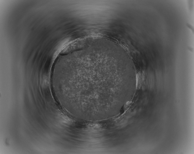 X0000098140195200804241722