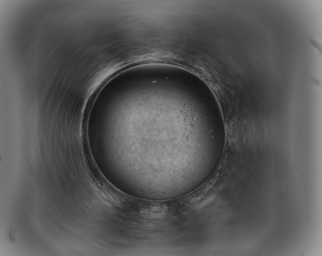 X0000098140196200804241722