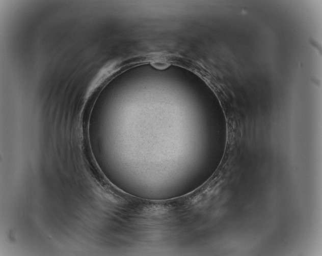 X0000098140198200804241722