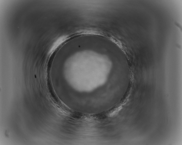 X0000098140199200804241722