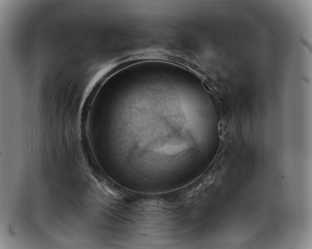 X0000098140200200804241722