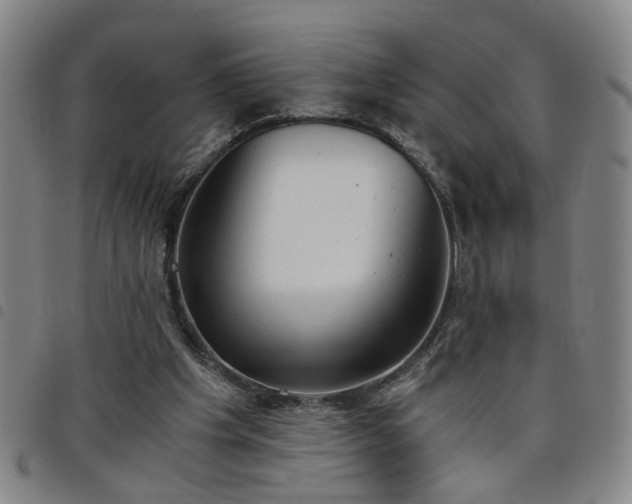 X0000098140201200804241722