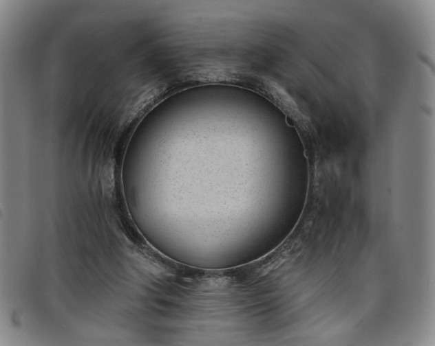 X0000098140202200804241722