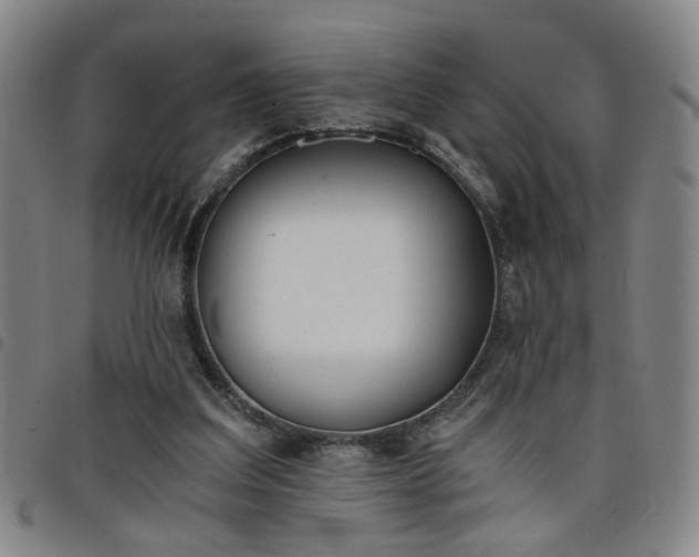 X0000098140203200804241722
