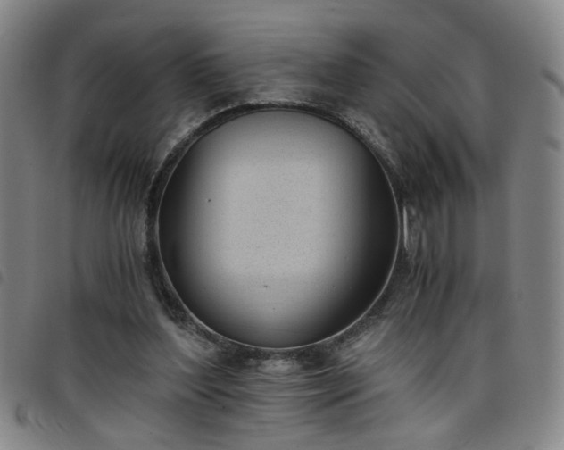 X0000098140204200804241722