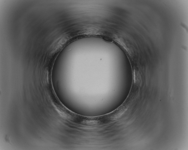X0000098140205200804241722