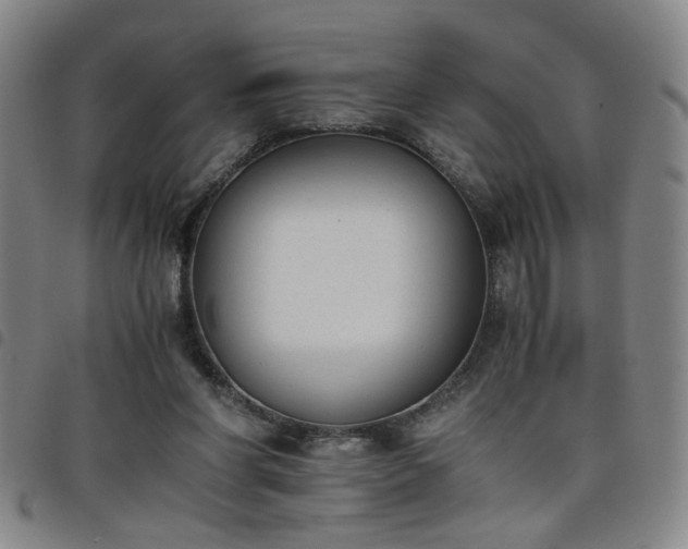 X0000098140206200804241722