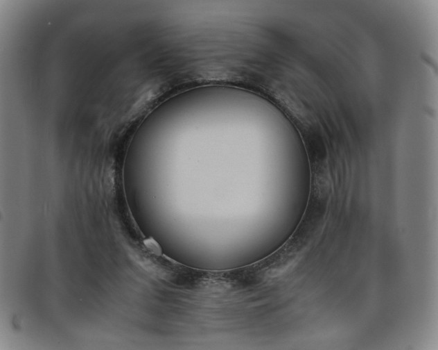 X0000098140207200804241722