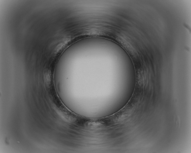 X0000098140208200804241722