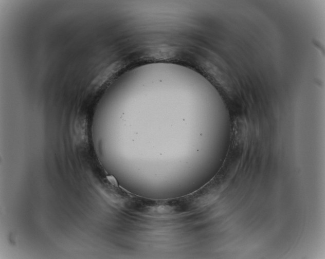 X0000098140212200804241722