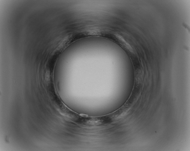 X0000098140213200804241722