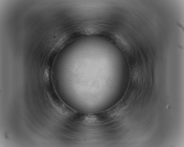 X0000098140214200804241722