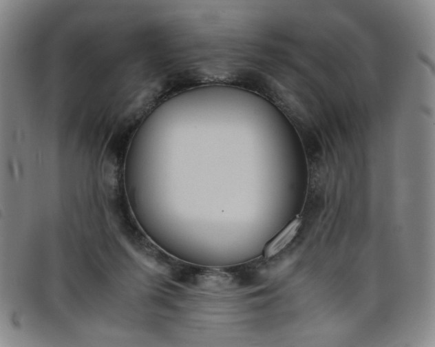 X0000098140215200804241722