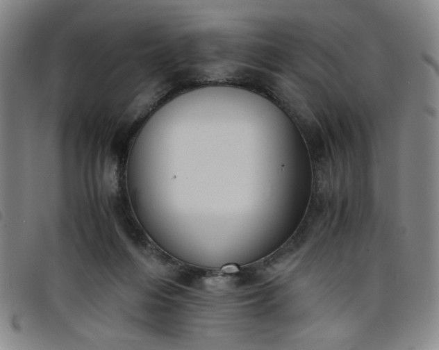 X0000098140216200804241722