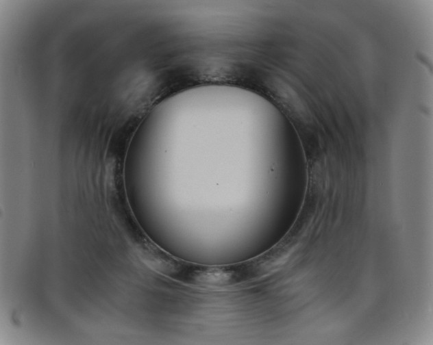 X0000098140217200804241722