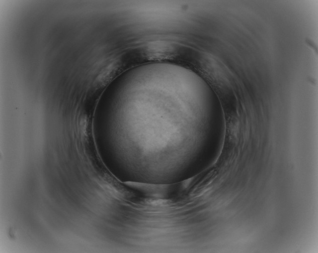 X0000098140219200804241722