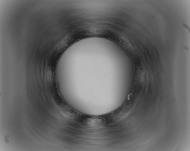 X0000098140220200804241722