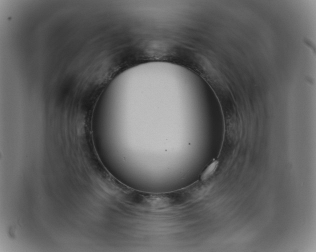 X0000098140221200804241722