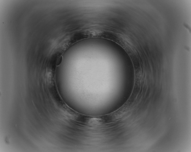X0000098140222200804241722