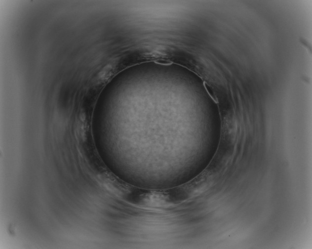 X0000098140223200804241721
