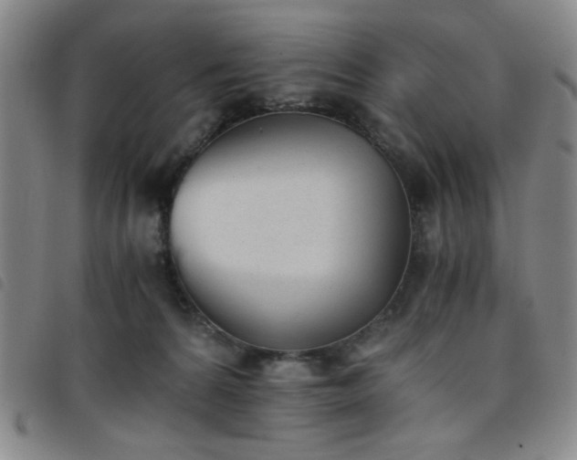 X0000098140224200804241721