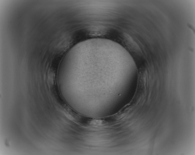 X0000098140227200804241721