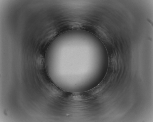 X0000098140228200804241721