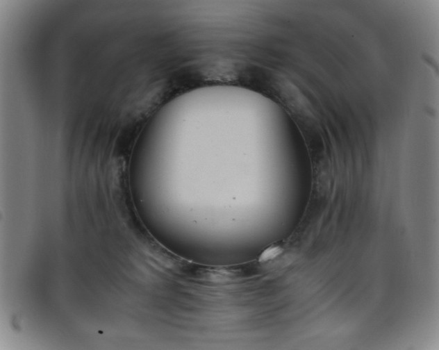 X0000098140229200804241721