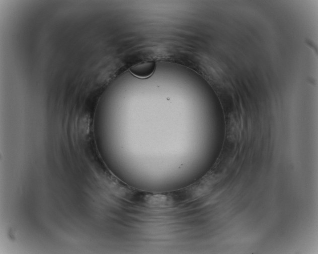 X0000098140230200804241721
