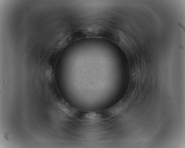 X0000098140231200804241721