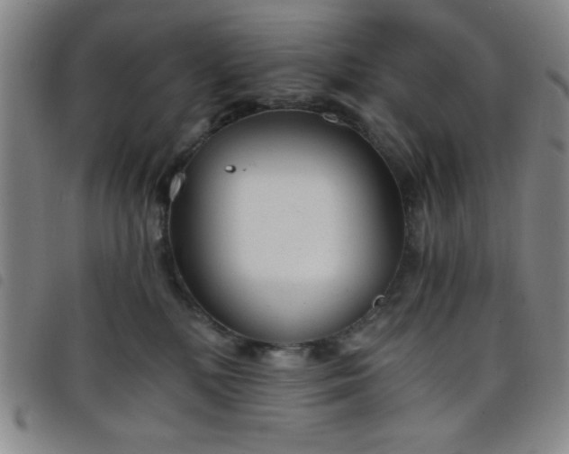 X0000098140232200804241721