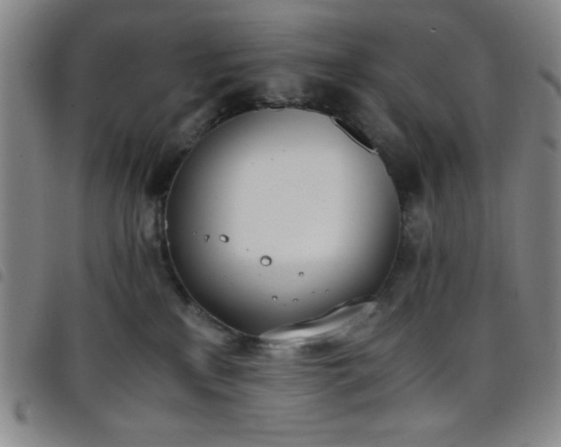 X0000098140233200804241721