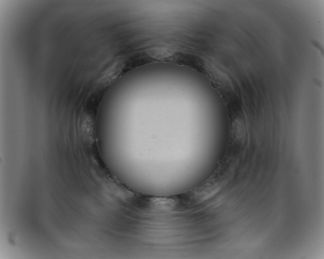X0000098140234200804241721