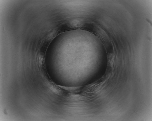 X0000098140235200804241721