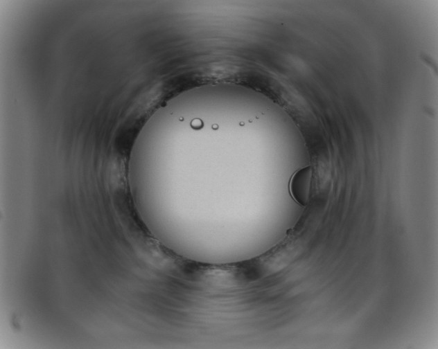 X0000098140236200804241721