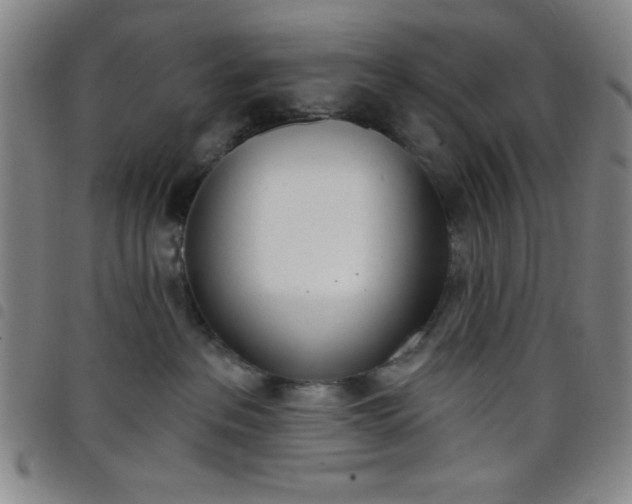 X0000098140237200804241721