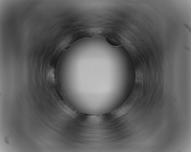 X0000098140238200804241721