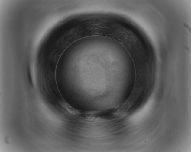 X0000098140239200804241721