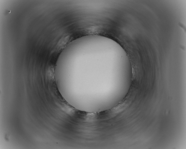 X0000098140240200804241721