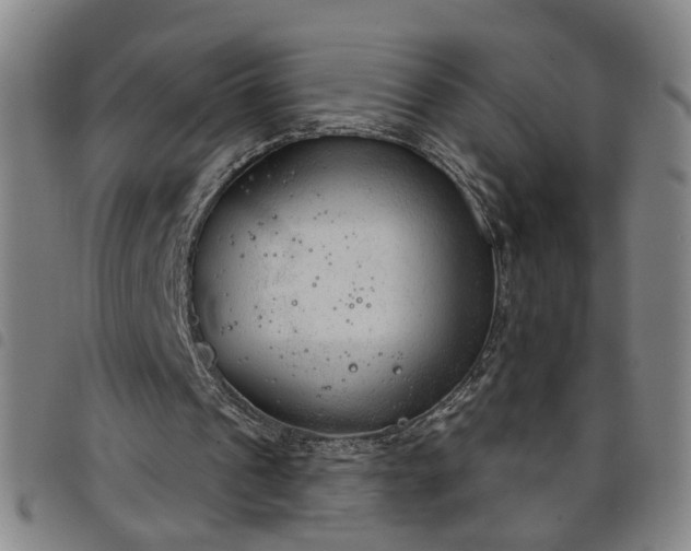X0000098140241200804241721