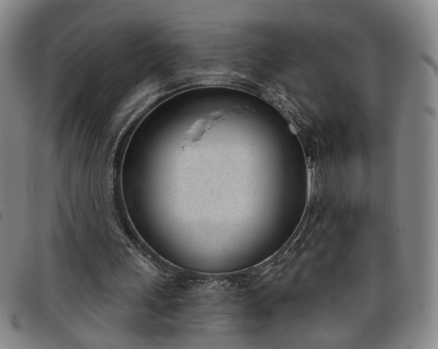 X0000098140243200804241721