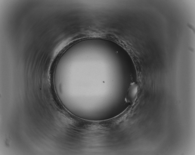 X0000098140246200804241721