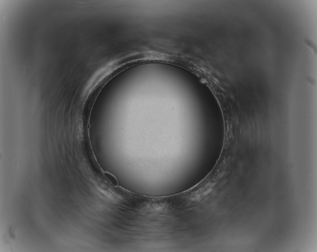 X0000098140247200804241721